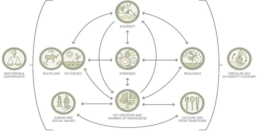 The 10 Elements of Agroecology